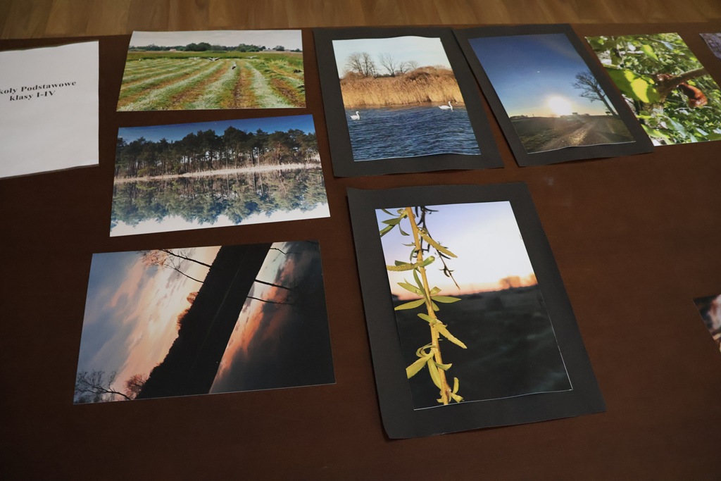 IMG 4413