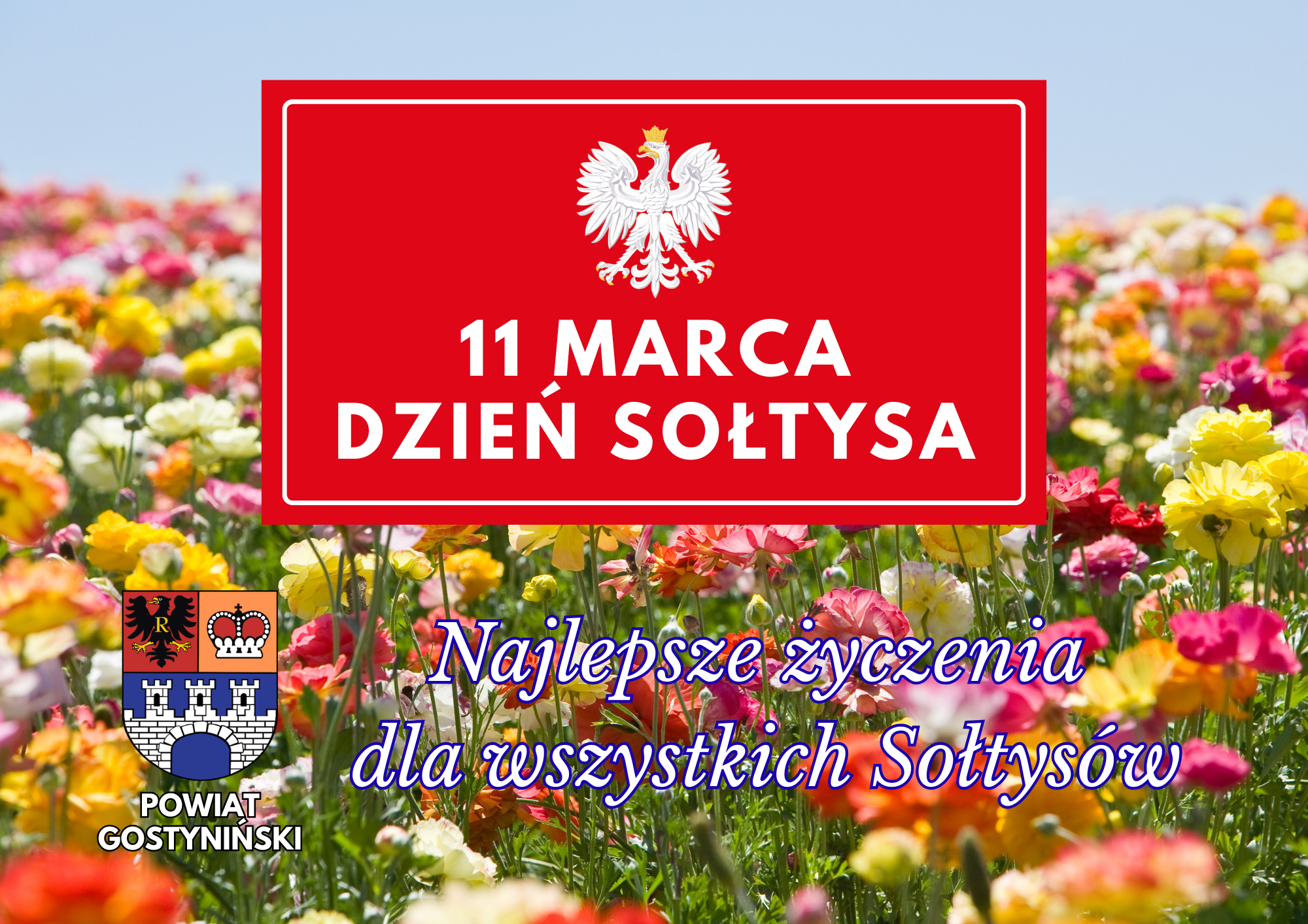 Dzien Soltysa